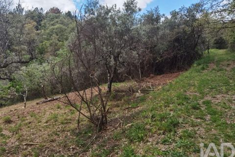 Byhus i Gouveia, Guarda, Gouveia - € 25.000 | Ref: 98607 - foto 6