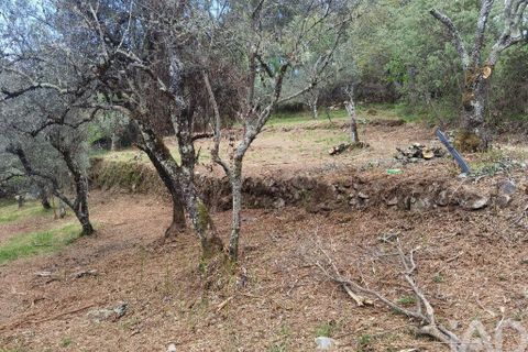 Byhus i Gouveia, Guarda, Gouveia - € 25.000 | Ref: 98607 - foto 7