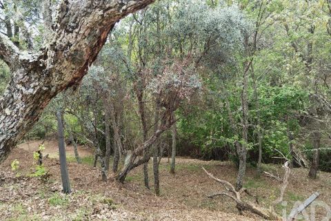 Byhus i Gouveia, Guarda, Gouveia - € 25.000 | Ref: 98607 - foto 10
