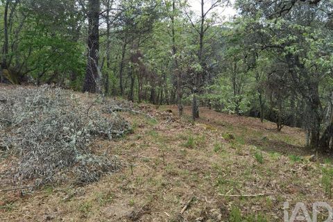 Byhus i Gouveia, Guarda, Gouveia - € 25.000 | Ref: 98607 - foto 11