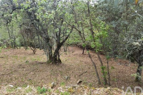 Byhus i Gouveia, Guarda, Gouveia - € 25.000 | Ref: 98607 - foto 12