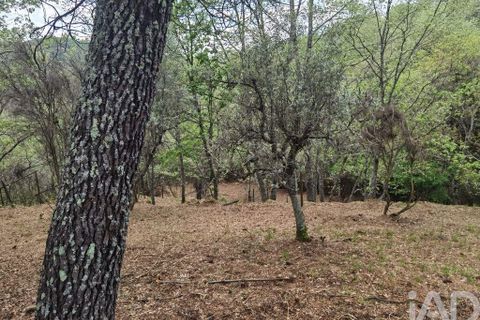 Byhus i Gouveia, Guarda, Gouveia - € 25.000 | Ref: 98607 - foto 13
