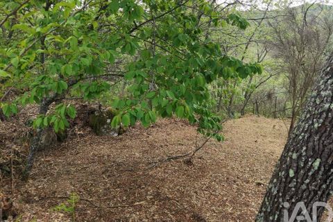 Byhus i Gouveia, Guarda, Gouveia - € 25.000 | Ref: 98607 - foto 14
