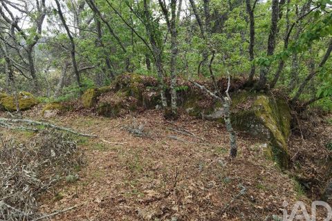 Byhus i Gouveia, Guarda, Gouveia - € 25.000 | Ref: 98607 - foto 15