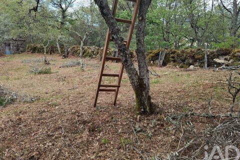 Byhus i Gouveia, Guarda, Gouveia - € 25.000 | Ref: 98607 - foto 16