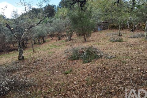 Byhus i Gouveia, Guarda, Gouveia - € 25.000 | Ref: 98607 - foto 17