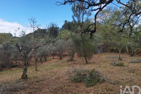 Byhus i Gouveia, Guarda, Gouveia - € 25.000 | Ref: 98607 - foto 18