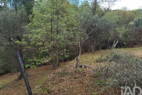 Byhus i Gouveia, Guarda, Gouveia - € 25.000 | Ref: 98607 - foto 19