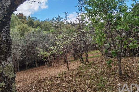 Byhus i Gouveia, Guarda, Gouveia - € 25.000 | Ref: 98607 - foto 20