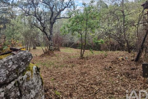 Byhus i Gouveia, Guarda, Gouveia - € 25.000 | Ref: 98607 - foto 21