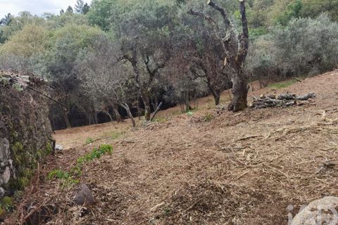 Byhus i Gouveia, Guarda, Gouveia - € 25.000 | Ref: 98607 - foto 22
