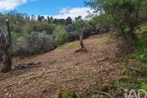 Byhus i Gouveia, Guarda, Gouveia - € 25.000 | Ref: 98607 - foto 23