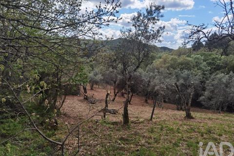 Byhus i Gouveia, Guarda, Gouveia - € 25.000 | Ref: 98607 - foto 24