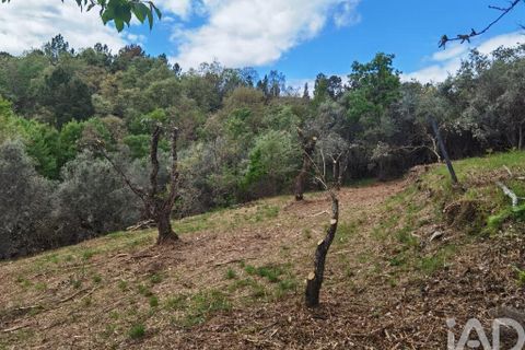Byhus i Gouveia, Guarda, Gouveia - € 25.000 | Ref: 98607 - foto 25