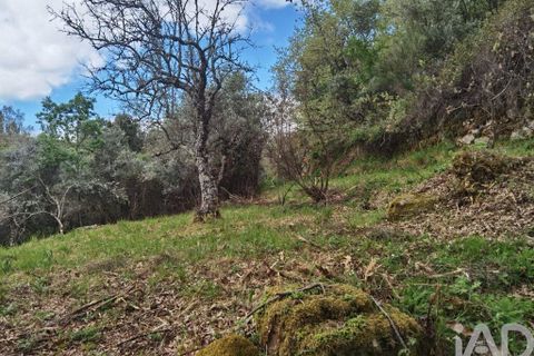 Byhus i Gouveia, Guarda, Gouveia - € 25.000 | Ref: 98607 - foto 26