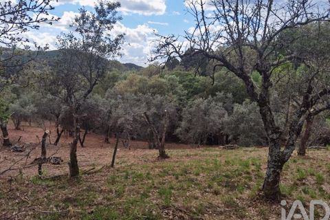 Byhus i Gouveia, Guarda, Gouveia - € 25.000 | Ref: 98607 - foto 27