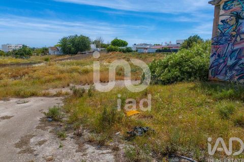Helårsgrund i Olhao, Faro, Olhao - € 8.900.000 | Ref: 871815 - foto 26