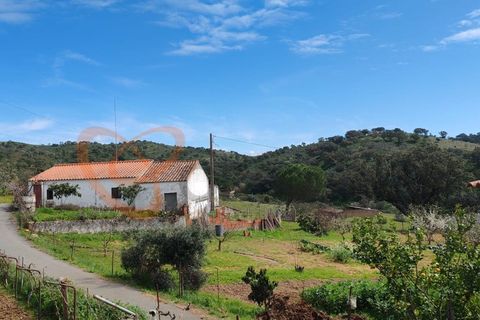 Farm i Almodovar, Beja, Almodovar - € 215.000 | Ref: 4486 - foto 1