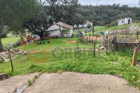 Farm i Almodovar, Beja, Almodovar - € 215.000 | Ref: 4486 - foto 3