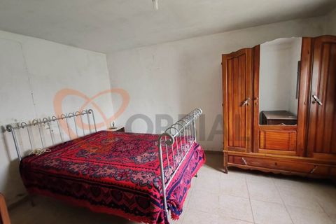 Farm i Almodovar, Beja, Almodovar - € 215.000 | Ref: 4486 - foto 15