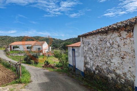 Farm i Almodovar, Beja, Almodovar - € 215.000 | Ref: 4486 - foto 21