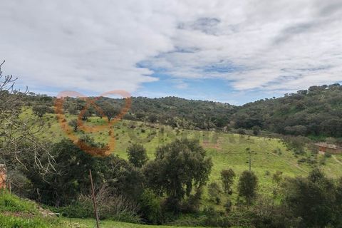 Farm i Almodovar, Beja, Almodovar - € 215.000 | Ref: 4486 - foto 23