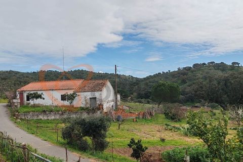 Farm i Almodovar, Beja, Almodovar - € 215.000 | Ref: 4486 - foto 24