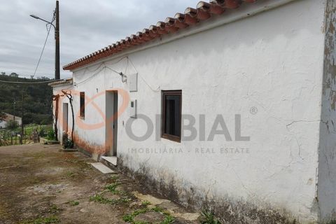Farm i Almodovar, Beja, Almodovar - € 215.000 | Ref: 4486 - foto 25