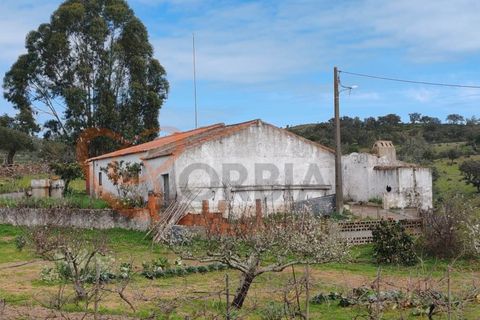 Farm i Almodovar, Beja, Almodovar - € 215.000 | Ref: 4486 - foto 27