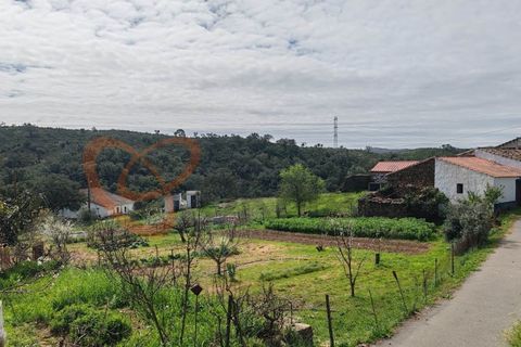 Farm i Almodovar, Beja, Almodovar - € 215.000 | Ref: 4486 - foto 28