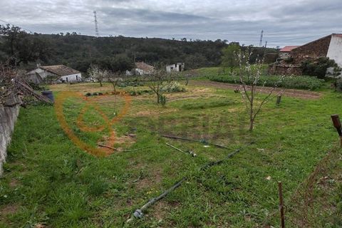Farm i Almodovar, Beja, Almodovar - € 215.000 | Ref: 4486 - foto 29