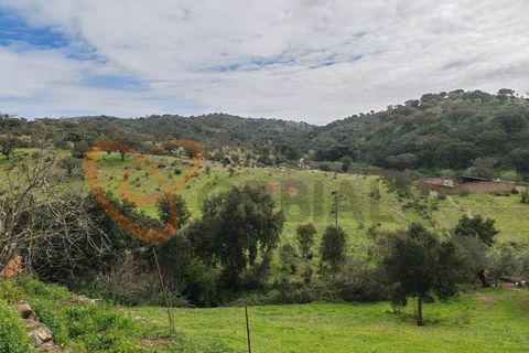 Farm i Almodovar, Beja, Almodovar - € 215.000 | Ref: 4486 - foto 30