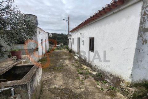 Farm i Almodovar, Beja, Almodovar - € 215.000 | Ref: 4486 - foto 33