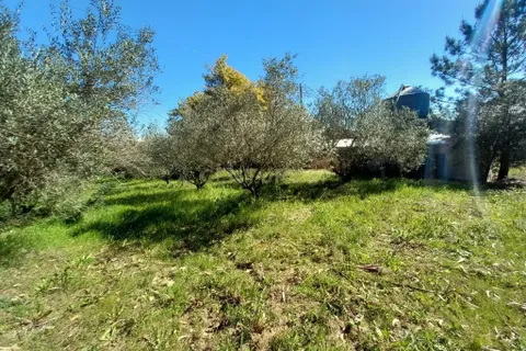 Farm hus i Castelo Branco, Castelo Branco, Castelo Branco - € 139.900 | Ref: C0434-01263 - foto 3