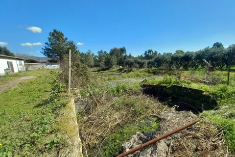 Farm hus i Castelo Branco, Castelo Branco, Castelo Branco - € 139.900 | Ref: C0434-01263 - foto 7