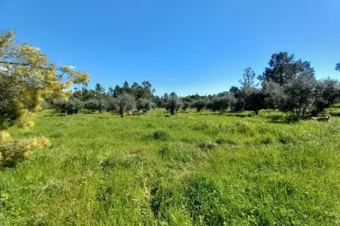 Farm hus i Castelo Branco, Castelo Branco, Castelo Branco - € 139.900 | Ref: C0434-01263 - foto 10