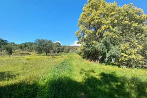Farm hus i Castelo Branco, Castelo Branco, Castelo Branco - € 139.900 | Ref: C0434-01263 - foto 13