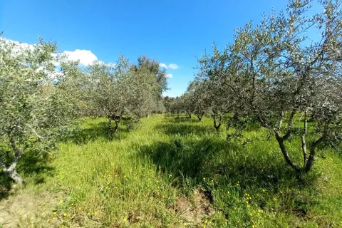 Farm hus i Castelo Branco, Castelo Branco, Castelo Branco - € 139.900 | Ref: C0434-01263 - foto 14