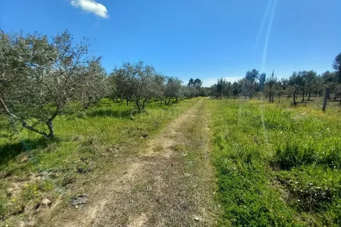 Farm hus i Castelo Branco, Castelo Branco, Castelo Branco - € 139.900 | Ref: C0434-01263 - foto 16