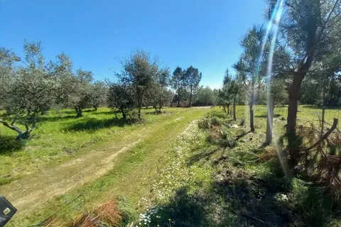 Farm hus i Castelo Branco, Castelo Branco, Castelo Branco - € 139.900 | Ref: C0434-01263 - foto 17