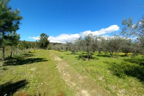 Farm hus i Castelo Branco, Castelo Branco, Castelo Branco - € 139.900 | Ref: C0434-01263 - foto 18