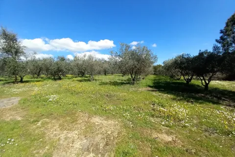 Farm hus i Castelo Branco, Castelo Branco, Castelo Branco - € 139.900 | Ref: C0434-01263 - foto 19