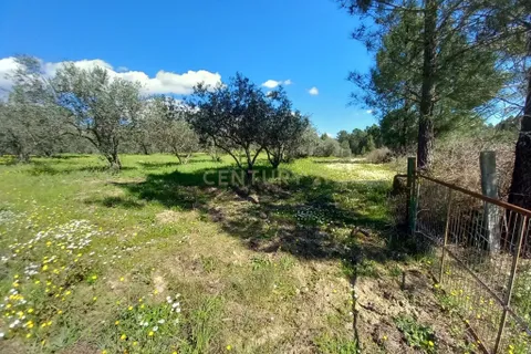 Farm hus i Castelo Branco, Castelo Branco, Castelo Branco - € 139.900 | Ref: C0434-01263 - foto 20