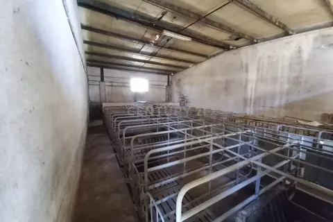 Farm hus i Castelo Branco, Castelo Branco, Castelo Branco - € 139.900 | Ref: C0434-01263 - foto 28