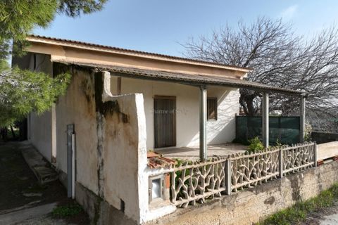 Villa em Ispica, Ragusa, Ispica - € 140.000 | Ref: L 2157 - foto 6