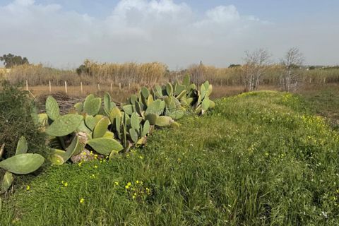 Villa em Ispica, Ragusa, Ispica - € 140.000 | Ref: L 2157 - foto 34