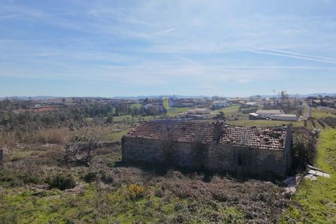 Ruinere i Leiria, Leiria, Leiria - € 80.000 | Ref: CRIS-216592 - foto 5