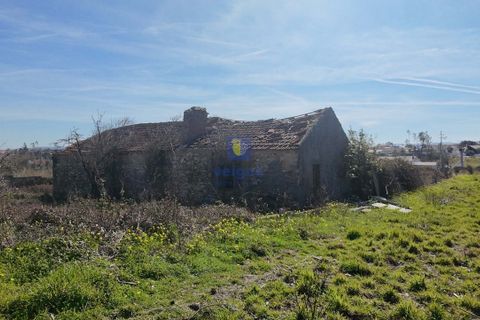 Ruinere i Leiria, Leiria, Leiria - € 80.000 | Ref: CRIS-216592 - foto 8