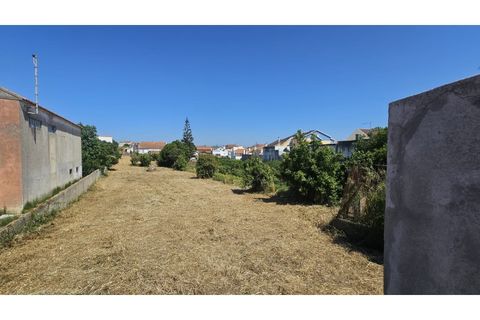 Villa i Torres Vedras, Lisbon, Torres Vedras - € 260.000 | Ref: CAS_180 - foto 32