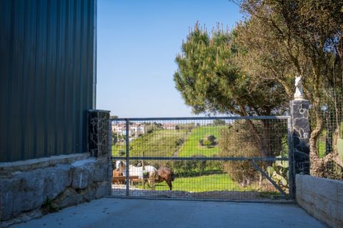 Villa i Santa Barbara, Lisbon, Santa Barbara - € 1.850.000 | Ref: AF004-26 - foto 24